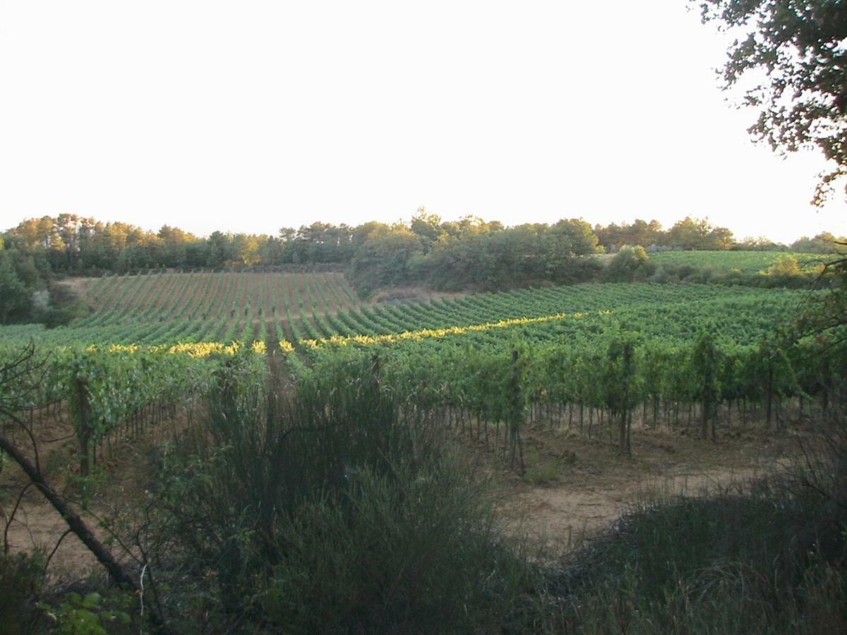 Agriturismo Campo Del Monte Campogialli Eksteriør bilde
